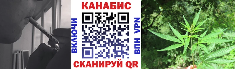 Бошки Шишки сатива Кунгур